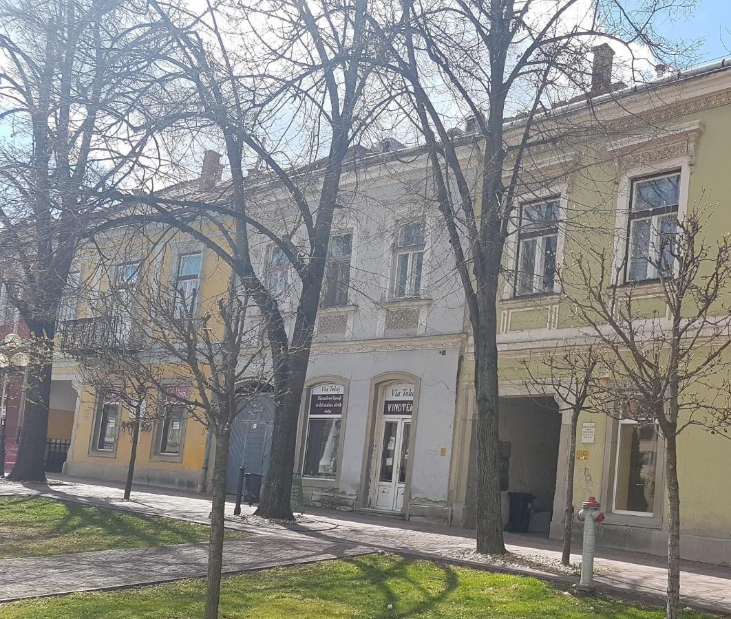 Апартаменты Via Tokaj Vendeghaz Шаторальяуйхей Экстерьер фото