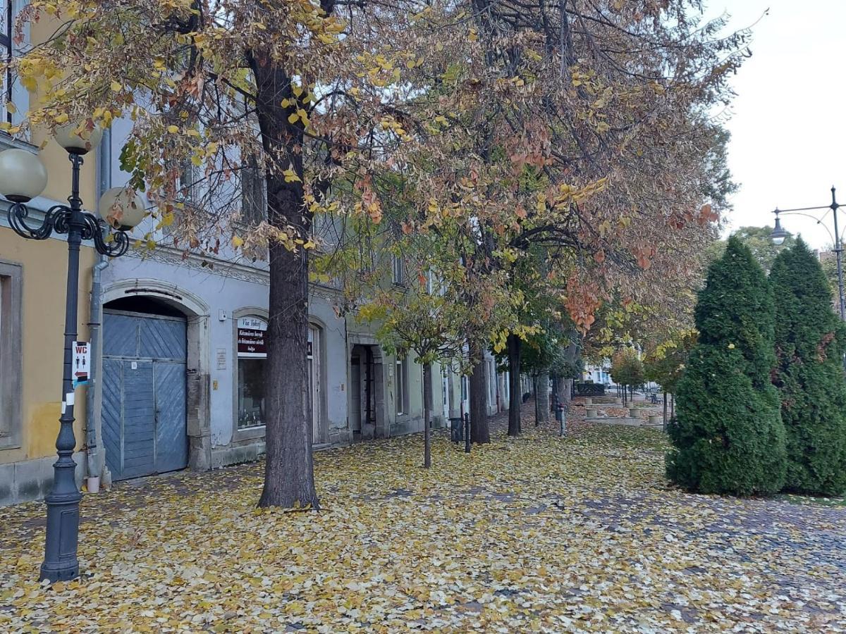 Апартаменты Via Tokaj Vendeghaz Шаторальяуйхей Экстерьер фото