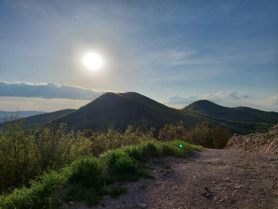 Апартаменты Via Tokaj Vendeghaz Шаторальяуйхей Экстерьер фото