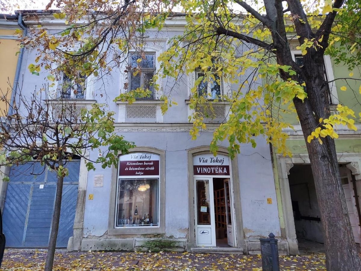 Апартаменты Via Tokaj Vendeghaz Шаторальяуйхей Экстерьер фото