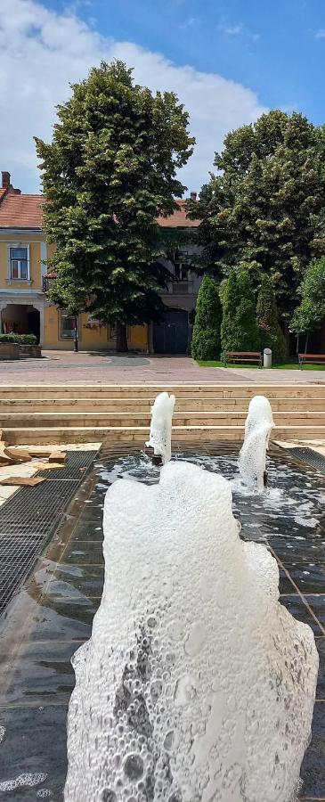 Апартаменты Via Tokaj Vendeghaz Шаторальяуйхей Экстерьер фото