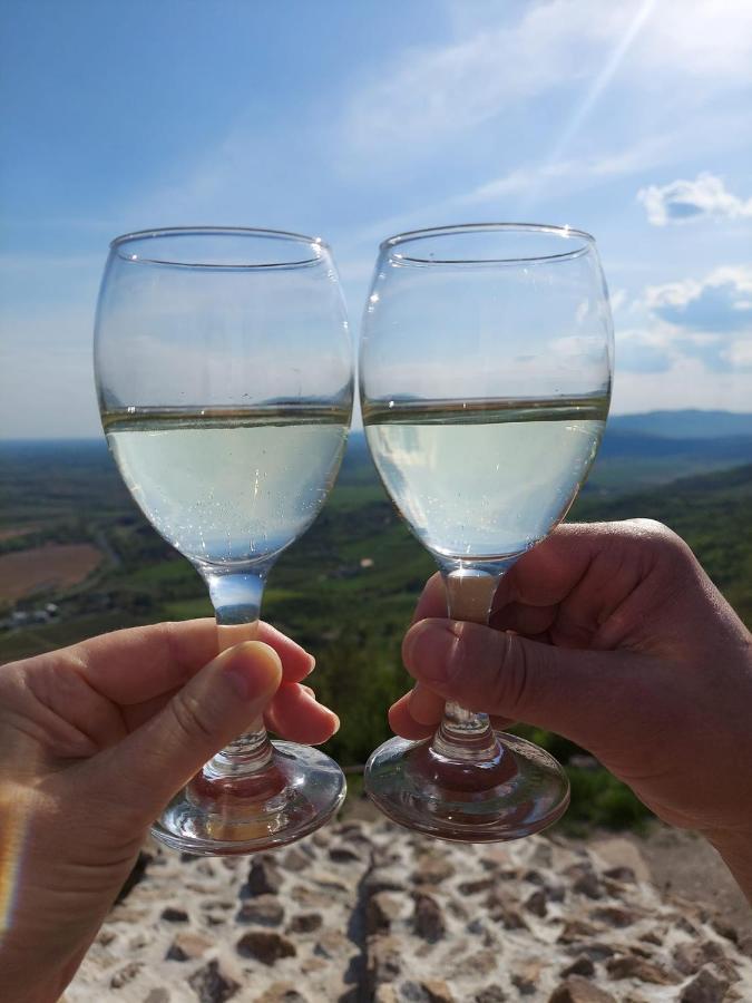 Апартаменты Via Tokaj Vendeghaz Шаторальяуйхей Экстерьер фото