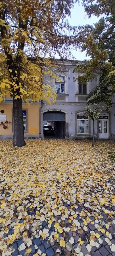 Апартаменты Via Tokaj Vendeghaz Шаторальяуйхей Экстерьер фото
